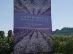 -北京东方普罗旺斯薰衣草庄园