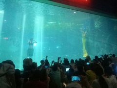 -福州罗源湾海洋世界旅游区