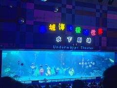 -泉城欧乐堡海洋极地世界