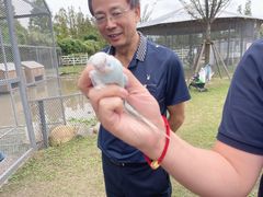 -前小桔亲子创意农场·草莓采摘·露营烧烤