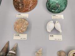 -天津古林古海岸遗迹博物馆