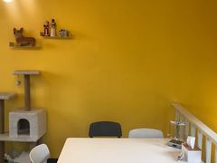 -22cafe
