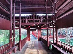 -南汇桃花村