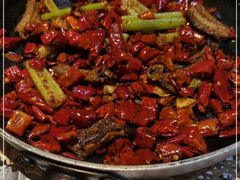 -红辣椒·川菜·火锅(张杨路店)