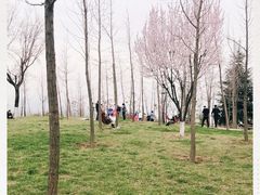 -洨河生态公园