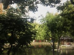 -和平公园