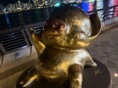 -星光大道