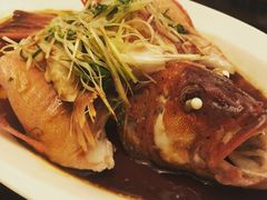 清蒸东星斑-北京四季酒店·采逸轩