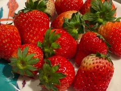 -阳光岛·海鲜盛宴(银泰中心in99店)