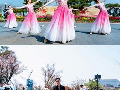 -荷兰花海