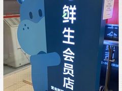 -盒马鲜生(大成店)