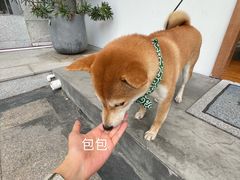 -PUZZLE COFFEE 拼图咖啡