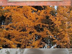 -大韩民国临时政府旧址