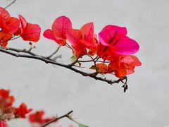 -石室禅院