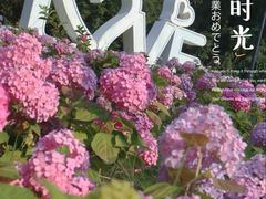-塔子山公园