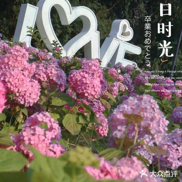 成都|遛娃|拍照📷|约会还不知道去哪吗？塔子山⛲️公园