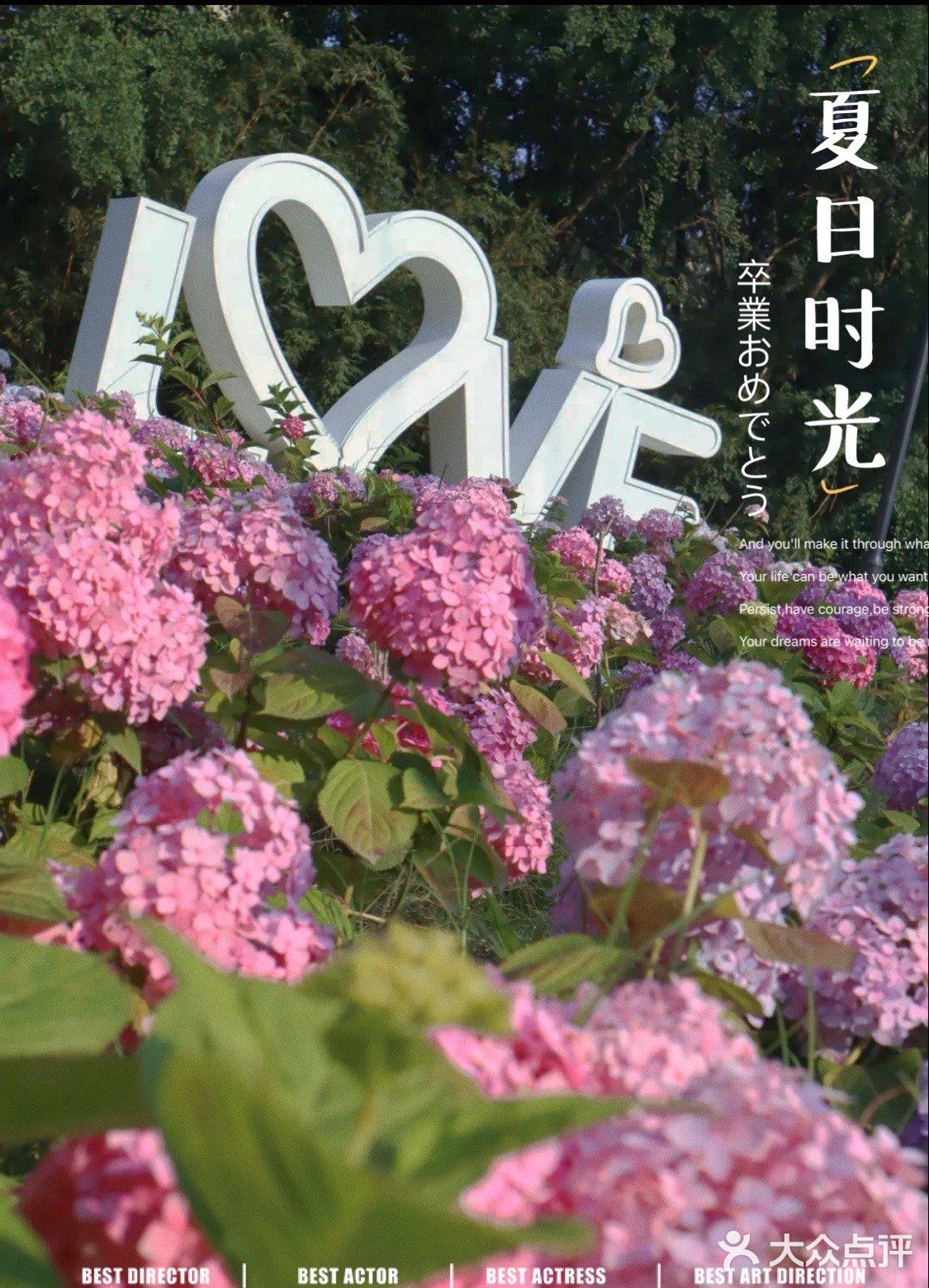 成都|遛娃|拍照📷|约会还不知道去哪吗？塔子山⛲️公园