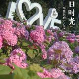 成都|遛娃|拍照📷|约会还不知道去哪吗？塔子山⛲️公园