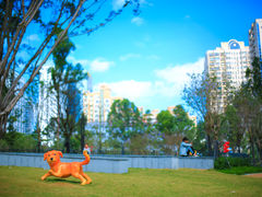 -景田北六街公园宠物主题园