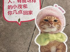 -瑞虹新天地月亮湾