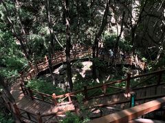 -大岭沟猕猴桃谷风景区