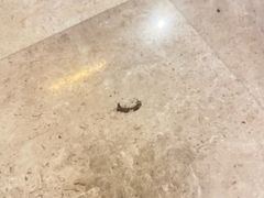 -无锡新湖铂尔曼大酒店