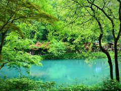 -岳麓山风景名胜区