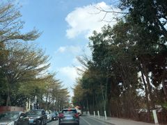 -长洲岛