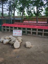 -上美四季动物农场