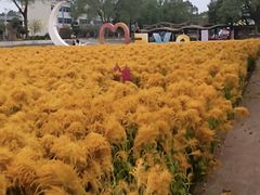 -梅州天地人花园酒店(梅县人民广场店)