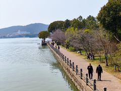 -无锡蠡湖国家湿地公园-蠡园