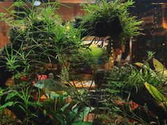-懒鱼时光馆(沙坪坝店)