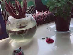-捌楼咖啡书吧(南开店)