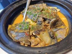 红煨汉寿水鱼-上座·餐厅(阳光100店)