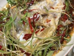 -和源祥·日照菜扛把子(万平口一店)