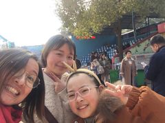 -沙市市中山公园