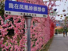 -北京凤凰岭