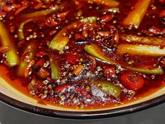 -雲蜀龙阁·金牌水煮鱼(方庄店)