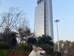 -艾贝尔宠物医院 ·中兽医·宠保定点(北门桥店)