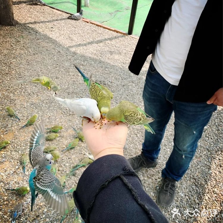 北京六一遛娃好去处，亲近大自然玩沙喂鸟关键还有团购活动