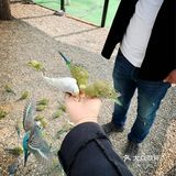 北京六一遛娃好去处，亲近大自然玩沙喂鸟关键还有团购活动