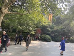 -杭州黄龙洞