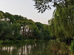-新江湾城公园