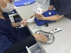 -拜鲁耶动物诊疗中心·宠家动物医院