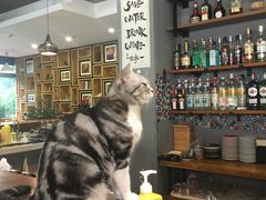 -咖法森林·咖啡  酒吧(天河店)