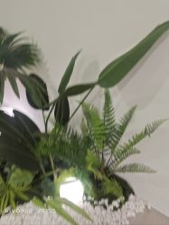 -HEYAN荷妍专业脱毛连锁机构