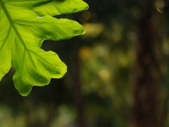 -融汇温泉