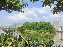 -飞来湖湿地公园