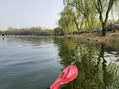 -WhaleSports户外水上运动俱乐部(朝阳公园店)