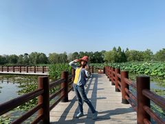 -长兴太湖图影湿地文化园